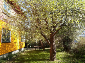 Renovated semi- basement 2 Bedrooms Furnished Apartment - Close to everything in Moss